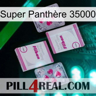 Super Panthère 35000 33